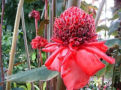 360 Longwood Gardens [2008 August 23]